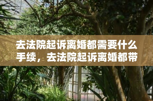 去法院起诉离婚都需要什么手续，去法院起诉离婚都带什么证件？法院离婚判决书算不算离婚证