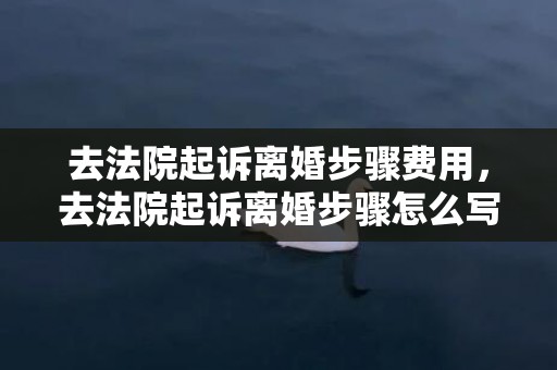 去法院起诉离婚步骤费用，去法院起诉离婚步骤怎么写的 银行起诉到法院要多少步骤