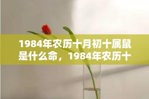 1984年农历十月初十属鼠是什么命，1984年农历十月初十属鼠是什么命