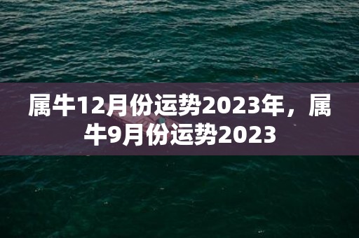 属牛12月份运势2023年，属牛9月份运势2023