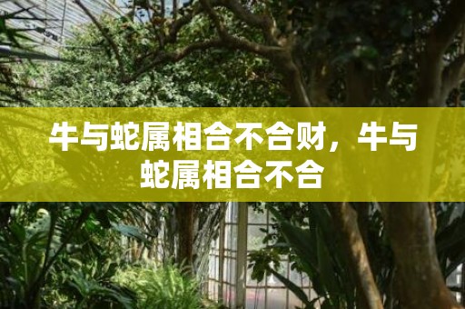 牛与蛇属相合不合财，牛与蛇属相合不合