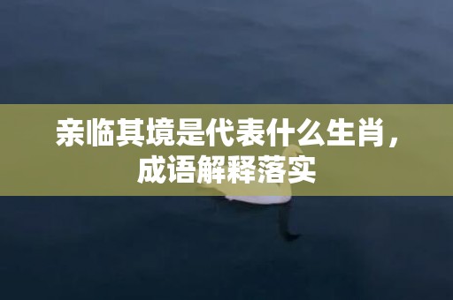 亲临其境是代表什么生肖，成语解释落实