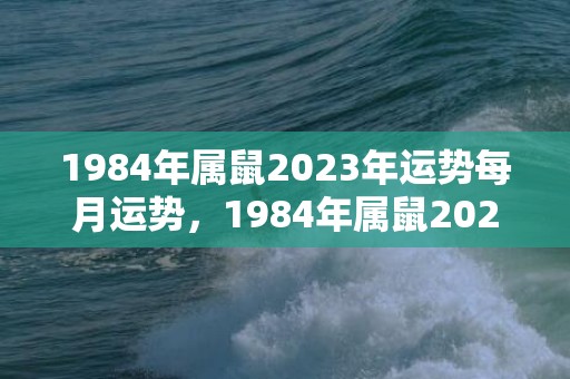 1984年属鼠2023年运势每月运势，1984年属鼠2023年的运程