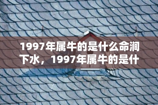 1997年属牛的是什么命涧下水，1997年属牛的是什么命