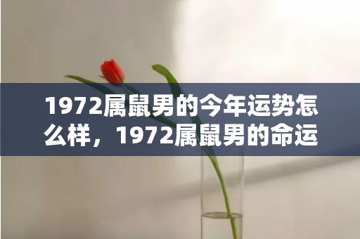 1972属鼠男的今年运势怎么样，1972属鼠男的命运2023