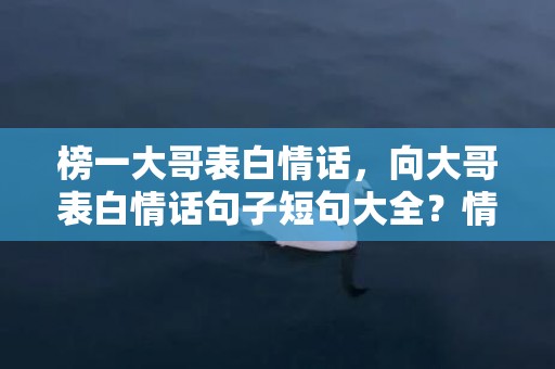 榜一大哥表白情话，向大哥表白情话句子短句大全？情话短句十字以内