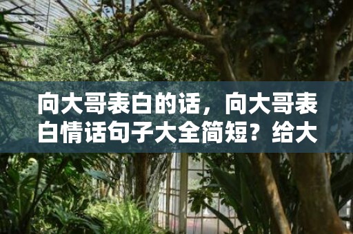 向大哥表白的话，向大哥表白情话句子大全简短？给大哥表白的句子