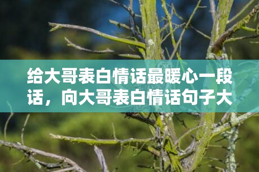 给大哥表白情话最暖心一段话，向大哥表白情话句子大全简短？给大哥表白的句子