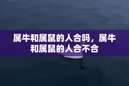 属牛和属鼠的人合吗，属牛和属鼠的人合不合