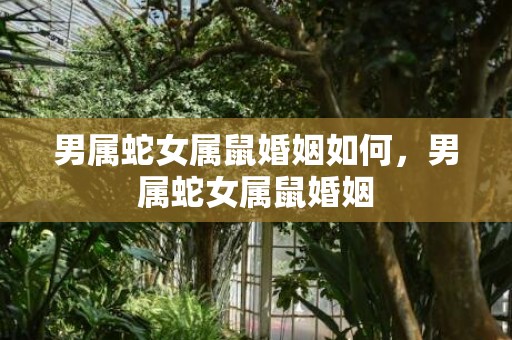 男属蛇女属鼠婚姻如何，男属蛇女属鼠婚姻