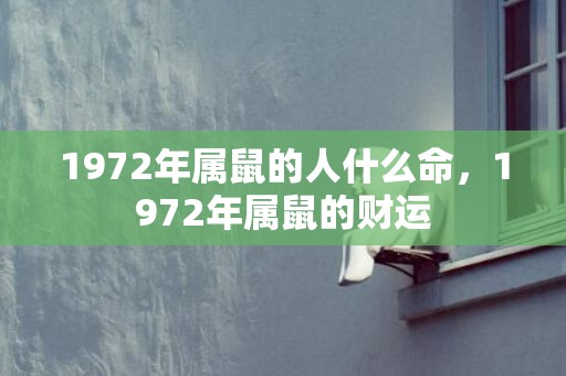 1972年属鼠的人什么命，1972年属鼠的财运