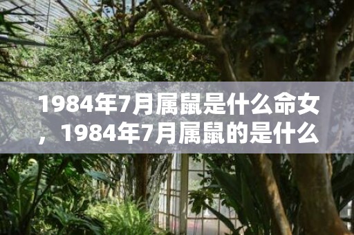 1984年7月属鼠是什么命女，1984年7月属鼠的是什么命