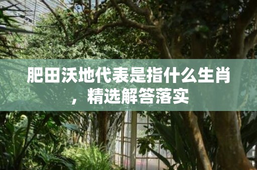 肥田沃地代表是指什么生肖，精选解答落实