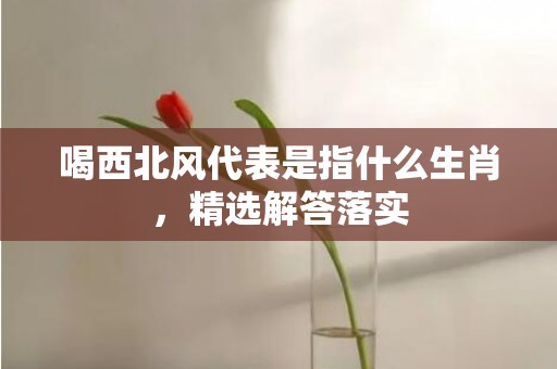 喝西北风代表是指什么生肖，精选解答落实