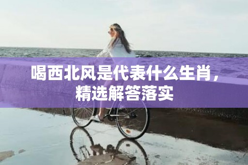 喝西北风是代表什么生肖，精选解答落实