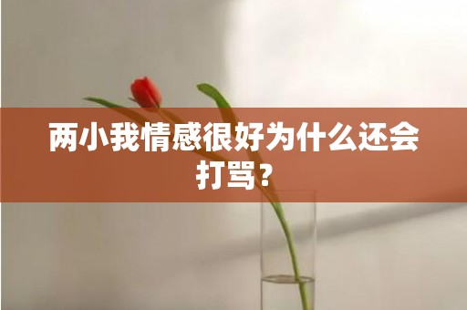 两小我情感很好为什么还会打骂？