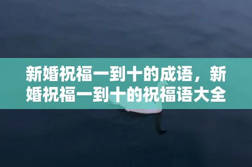 新婚祝福一到十的成语，新婚祝福一到十的祝福语大全？祝福公司的祝福语