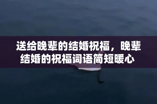 送给晚辈的结婚祝福，晚辈结婚的祝福词语简短暖心 晚辈结婚祝福语简短