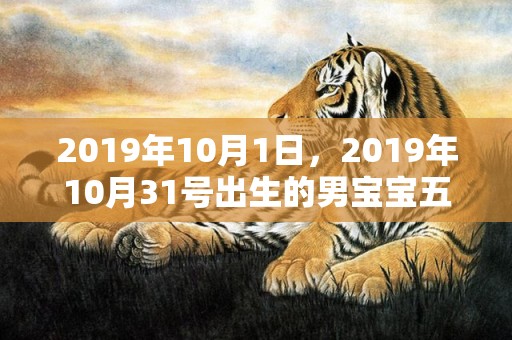 2019年10月1日，2019年10月31号出生的男宝宝五行缺土取名注意事项