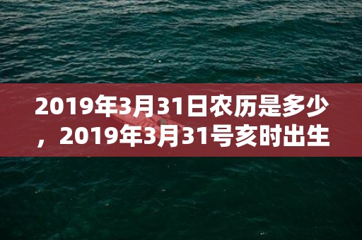 2019年3月31日农历是多少，2019年3月31号亥时出生的男孩要怎么起名字