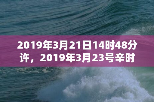 2019年3月21日14时48分许，2019年3月23号辛时出生的男孩如何起名