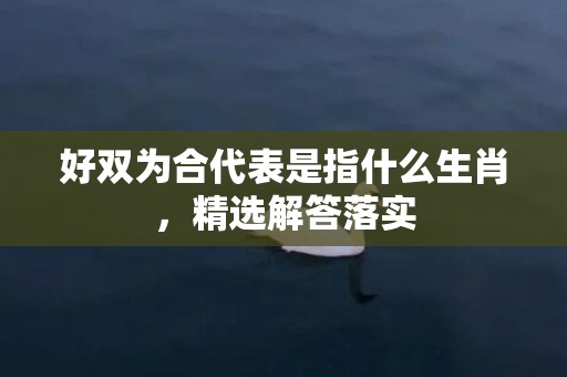 好双为合代表是指什么生肖，精选解答落实