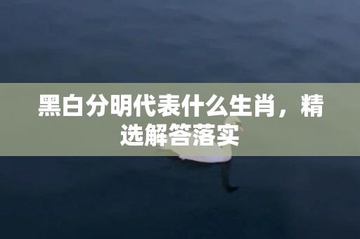 黑白分明代表什么生肖，精选解答落实