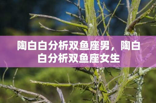 陶白白分析双鱼座男，陶白白分析双鱼座女生