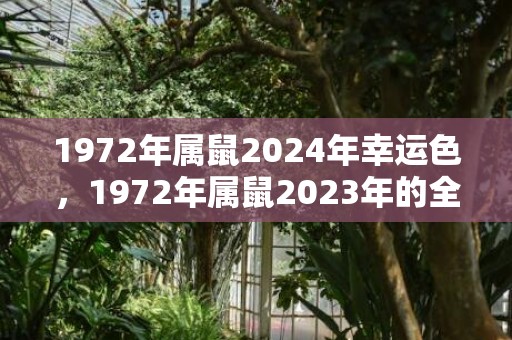 1972年属鼠2024年幸运色，1972年属鼠2023年的全年运势