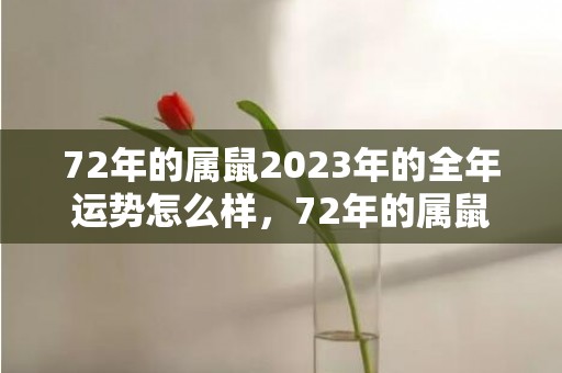 72年的属鼠2023年的全年运势怎么样，72年的属鼠2023年运势