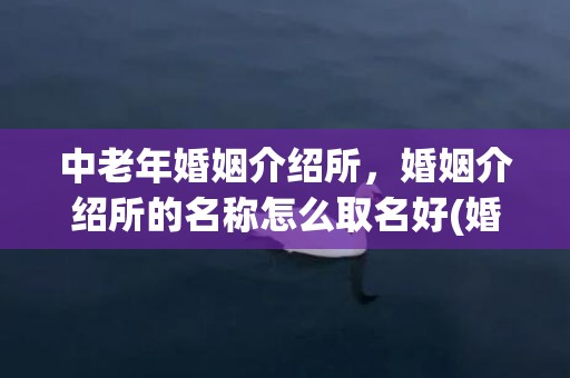 中老年婚姻介绍所，婚姻介绍所的名称怎么取名好(婚介公司名称怎么起)