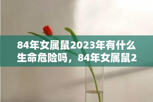 84年女属鼠2023年有什么生命危险吗，84年女属鼠2023年运势