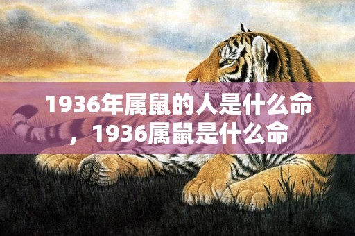 1936年属鼠的人是什么命，1936属鼠是什么命