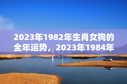 2023年1982年生肖女狗的全年运势，2023年1984年属鼠男全年运势