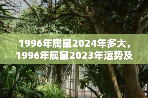 1996年属鼠2024年多大，1996年属鼠2023年运势及运程