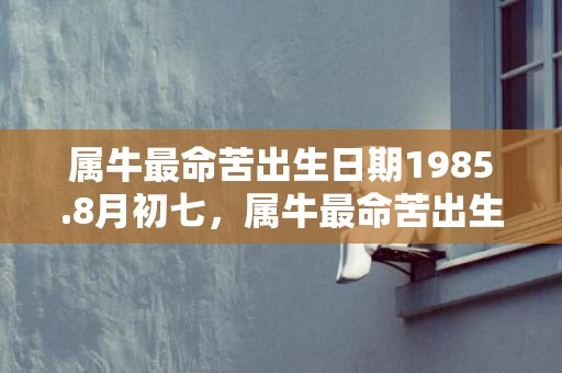 属牛最命苦出生日期1985.8月初七，属牛最命苦出生日期