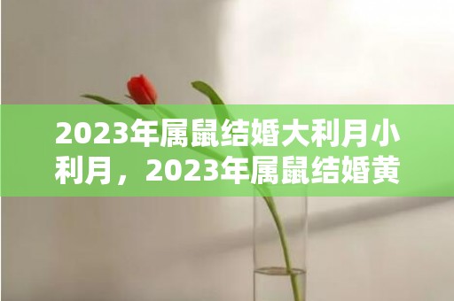 2023年属鼠结婚大利月小利月，2023年属鼠结婚黄道吉日