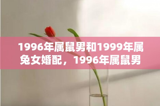 1996年属鼠男和1999年属兔女婚配，1996年属鼠男孩姻缘在哪一年