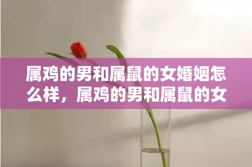 属鸡的男和属鼠的女婚姻怎么样，属鸡的男和属鼠的女婚姻相配吗