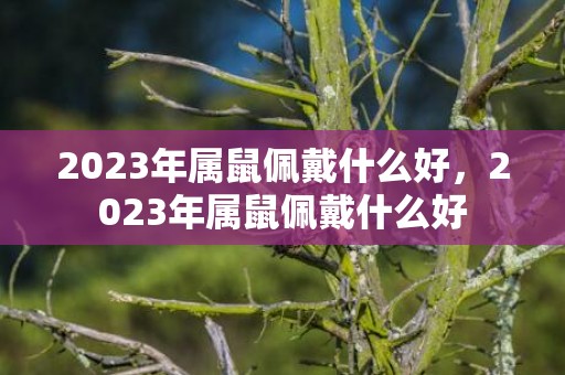 2023年属鼠佩戴什么好，2023年属鼠佩戴什么好