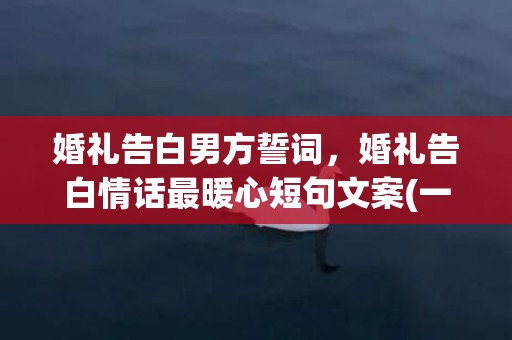 婚礼告白男方誓词，婚礼告白情话最暖心短句文案(一段简短而深情的婚礼告白)