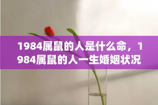 1984属鼠的人是什么命，1984属鼠的人一生婚姻状况(2)