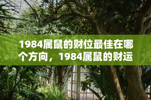 1984属鼠的财位最佳在哪个方向，1984属鼠的财运贵人