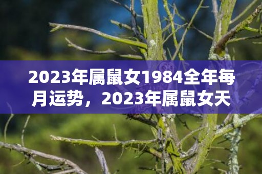 2023年属鼠女1984全年每月运势，2023年属鼠女天秤座运势如何