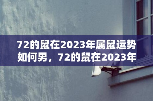 72的鼠在2023年属鼠运势如何男，72的鼠在2023年属鼠运势如何