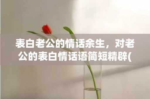 表白老公的情话余生，对老公的表白情话语简短精辟(给老公表白感人的话语)