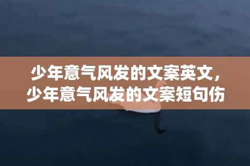 少年意气风发的文案英文，少年意气风发的文案短句伤感(意气风发近义词)