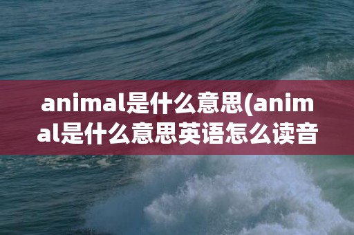 animal是什么意思(animal是什么意思英语怎么读音)