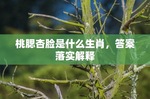 桃腮杏脸是什么生肖，答案落实解释