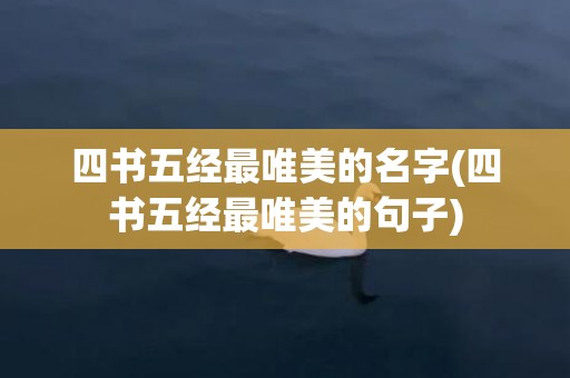 四书五经最唯美的名字(四书五经最唯美的句子)